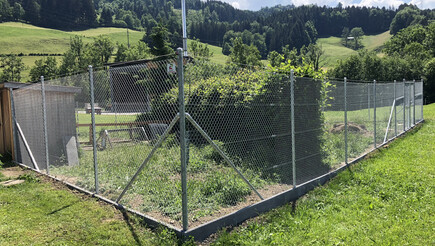 Diagonalgeflecht aus dem 2018 in 9055 Bühler Schweiz von Zaunteam Appenzellerland.