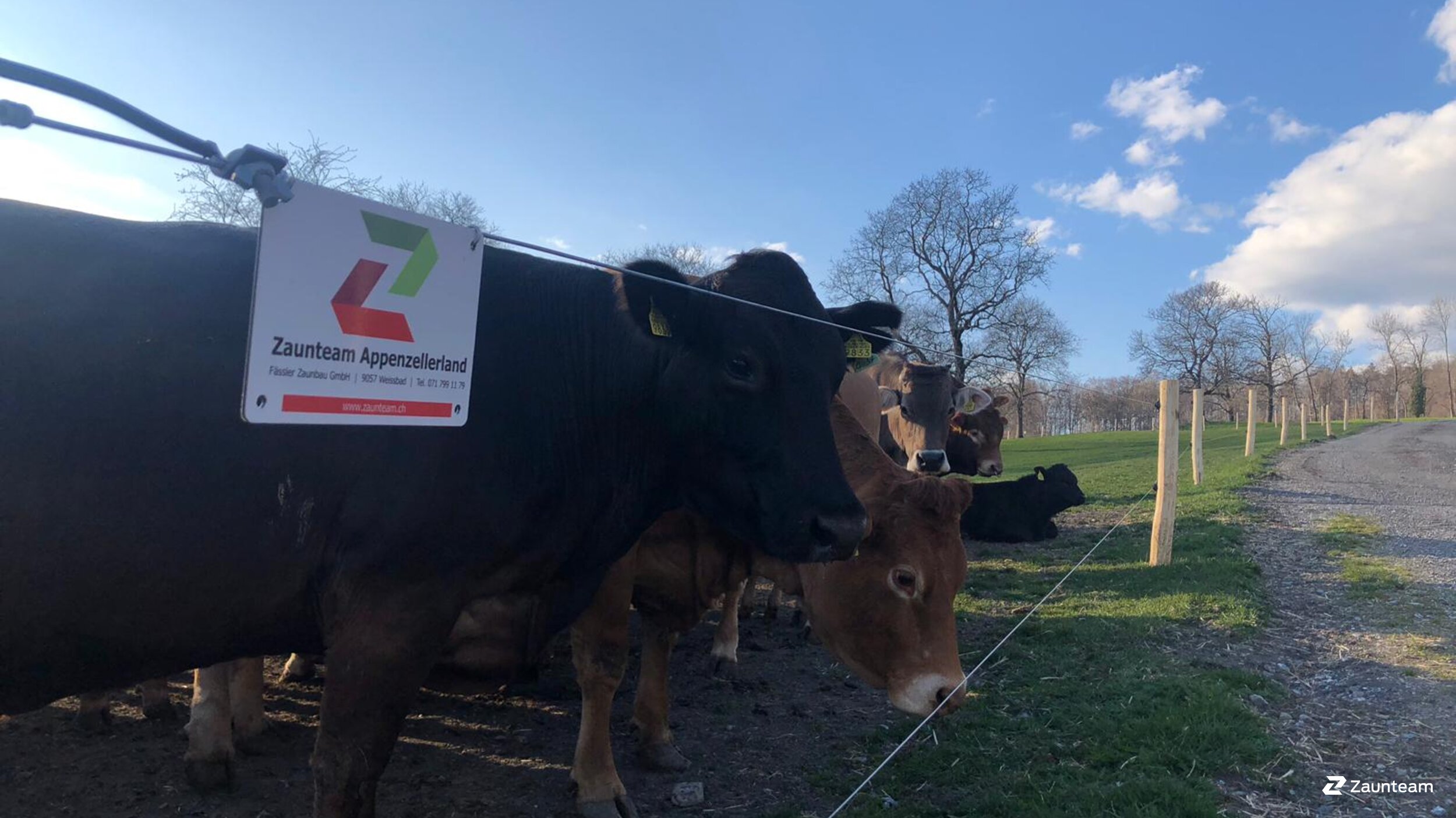Elektrozaun für Nutztiere aus dem 2019 in 9000 St. Gallen Schweiz von Zaunteam Appenzellerland.